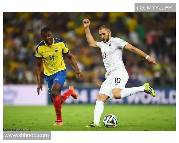 瑞士足球明星队员的精彩瞬间与成就回顾